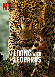 Watch Living with Leopards