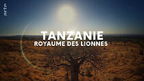 Watch Tanzanie, royaume des lionnes