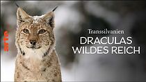 Watch Transylvania's Wild Side