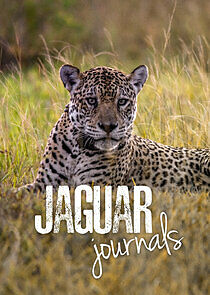 Watch Jaguar Journals