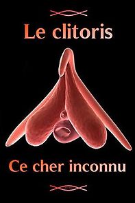 Watch Le clitoris, ce cher inconnu