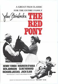 Watch The Red Pony