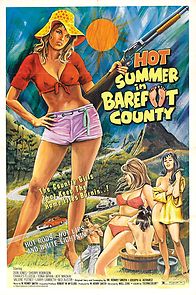 Watch Hot Summer in Barefoot County