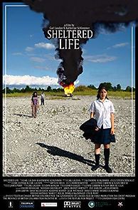 Watch Sheltered Life