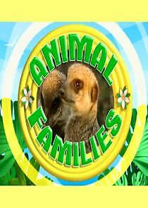 Watch Animal Families