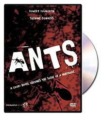 Watch Ants!