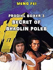 Watch Secret of the Shaolin Poles
