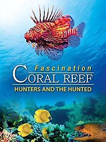 Watch Fascination Coral Reef 3D: Hunters & the Hunted
