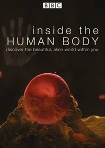 Watch Inside the Human Body