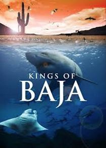 Watch Kings of Baja