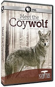 Watch Nature: Meet the Coy-wolf