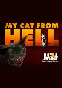 Watch My Cat from Hell