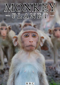 Watch Monkey Planet