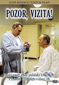 Watch Pozor, vizita!