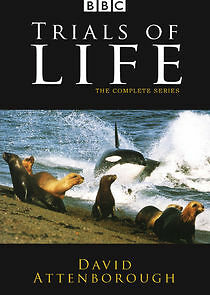 Watch The Trials of Life: A Natural History of Behaviour