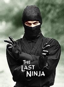 Watch The Last Ninja