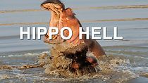 Watch Hippo Hell