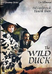 Watch The Wild Duck