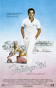 Watch The Flamingo Kid