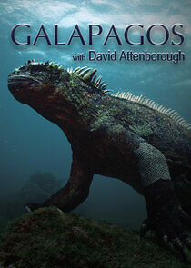 Watch Galapagos with David Attenborough