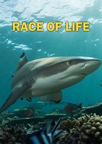 Watch Race of Life