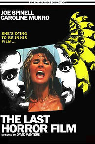 Watch The Last Horror Film