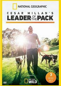 Watch Cesar Millan's Leader of the Pack