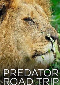 Watch Predator Road Trip