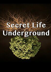 Watch Secret Life Underground