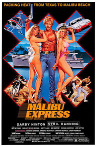 Watch Malibu Express