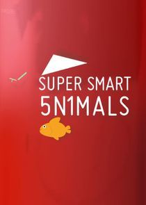 Watch Super Smart Animals