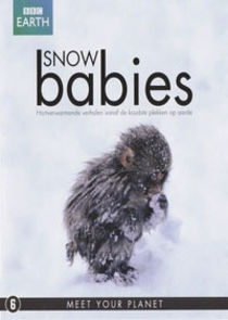Watch Snow Babies