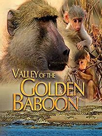 Watch Valley of the Golden Baboon