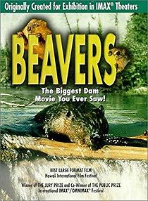 Watch Beavers