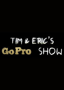 Watch Tim and Eric's Go Pro Show