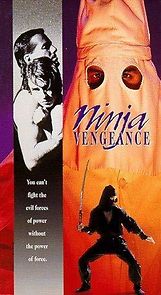 Watch Ninja Vengeance