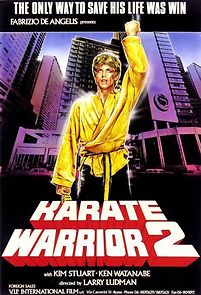 Watch Karate Warrior 2