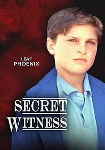 Watch Secret Witness