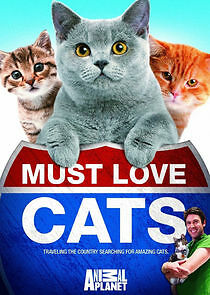 Watch Must Love Cats