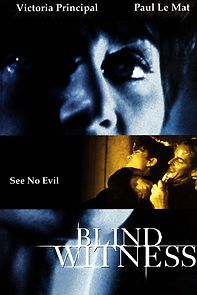 Watch Blind Witness
