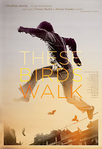 Watch These Birds Walk