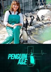 Watch Penguin A&E with Lorraine Kelly