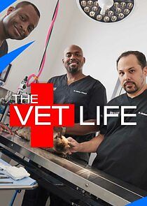 Watch The Vet Life