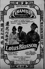 Watch Lotus Blossom