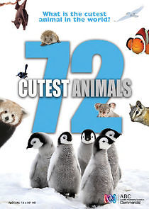 Watch 72 Cutest Animals