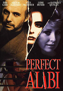 Watch Perfect Alibi