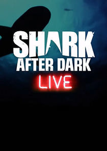 Watch Shark After Dark