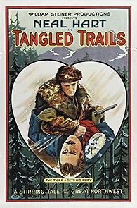 Watch Tangled Trails