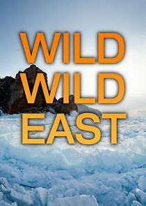 Watch Wild Wild East