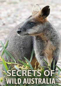 Watch Secrets of Wild Australia
